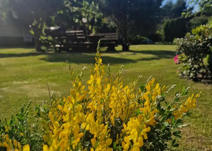 Zielone Wzgorze Nyaraló *